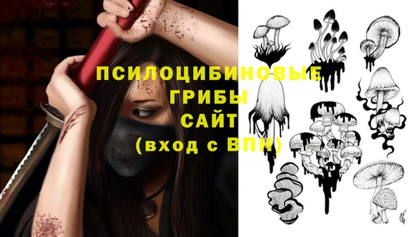 стафф Заволжск
