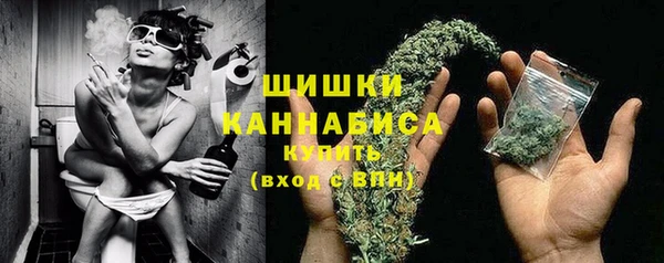 крисы Заводоуковск