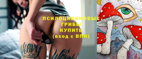 крисы Заводоуковск