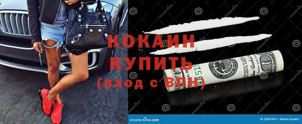 крисы Заводоуковск